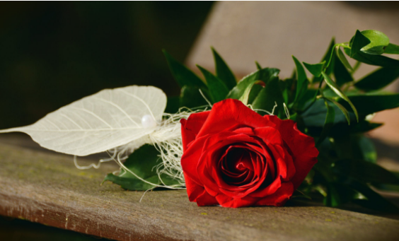 2021年情人节可以领证吗 2021年情人节可以领结婚证吗