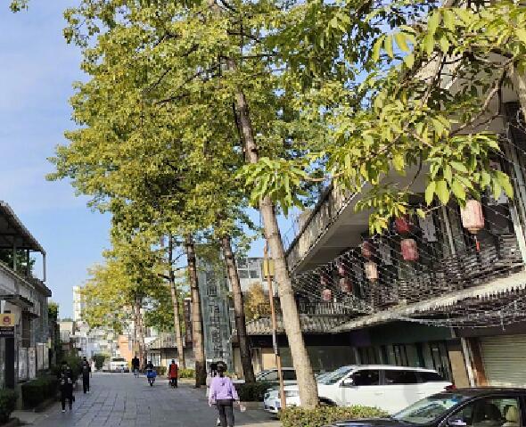 2021寒假广州旅游哪里人少好玩 寒假广州旅游冷门最好玩的地方