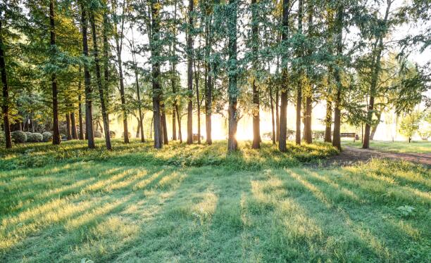 2021寒假广州旅游哪里人少好玩 寒假广州旅游冷门最好玩的地方