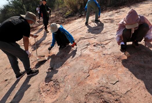福建发现240余枚恐龙足迹是什么情况 现场保存良好印迹清晰