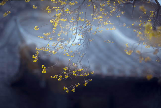 二月有多少天 二月是特殊月叫什么月