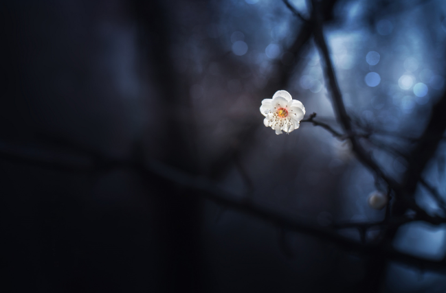 二月有多少天 二月是特殊月叫什么月