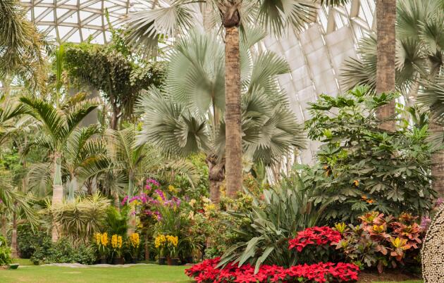 2021上海春节旅游哪里好玩 春节上海游玩最佳去处