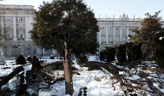 西班牙遭遇数十年未见暴雪天气 当地数百条道路交通中断