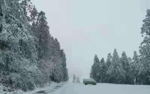 重庆武隆仙女山迎十年最大降雪 33万亩林海银装素裹分外妖娆