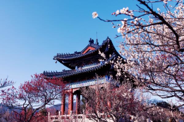 2021南京春節(jié)期間旅游哪里好玩 春節(jié)南京旅游好玩的地方