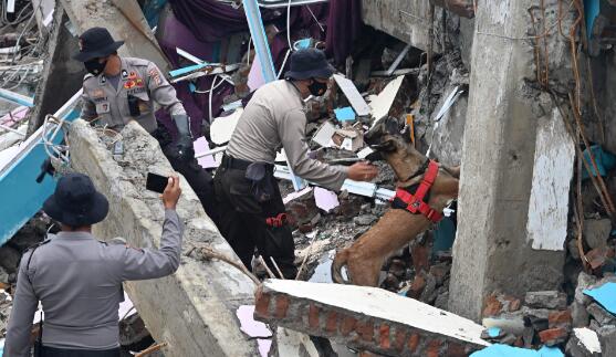 印尼6.2级地震死亡人数最新消息更新 死亡人数升至84人未来还将上升