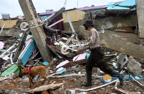 2级地震死亡人数最新消息更新 死亡人数升至84人未来还将上升