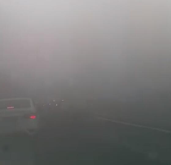 山东因为大雾天气多条高速封闭 局部地区能见度不足50米