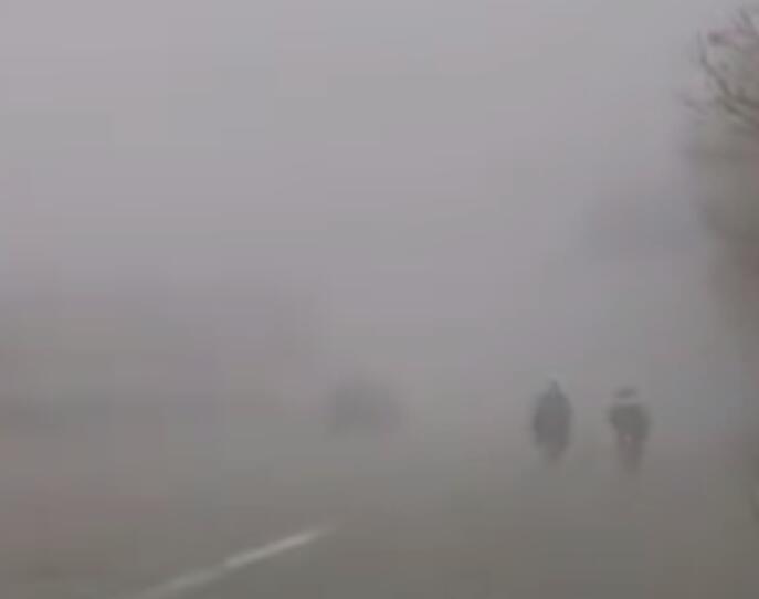 广东雷州发布大雾红色预警 能见度不足50米出行小心