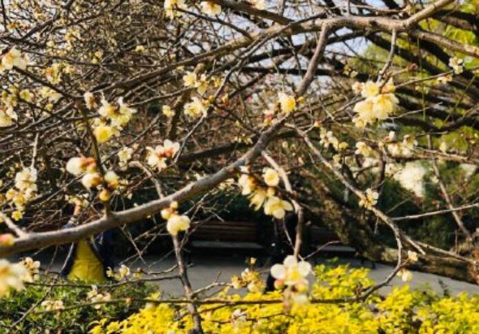 2021春节福州周边自驾游哪里好玩 春节福州附近游玩最佳去处