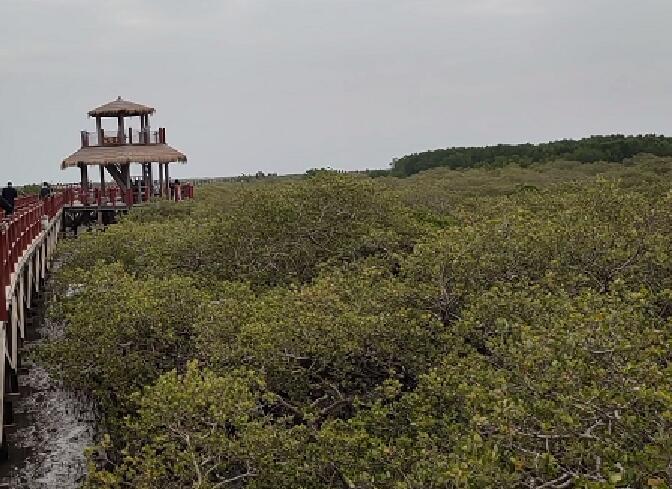 2021春节海口周边游玩哪里好玩 过年海口周边游玩最佳去处