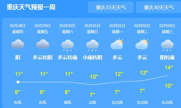 大雾天气致重庆多条高速临时管制 主城区白天气温仅有15℃