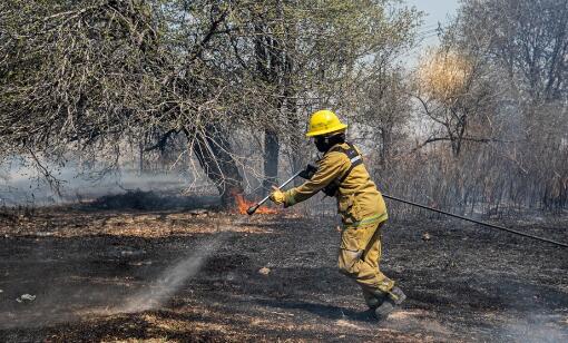 阿根廷南部地区山火肆虐 截至目前过火面积达6500公顷