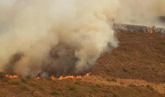 阿根廷南部地区山火肆虐 截至目前过火面积达6500公顷