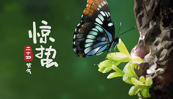 雨水之后的节气是什么 排在雨水之后的节气是哪一个