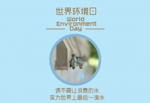 世界环境日是谁定的 世界环境日是怎么来的