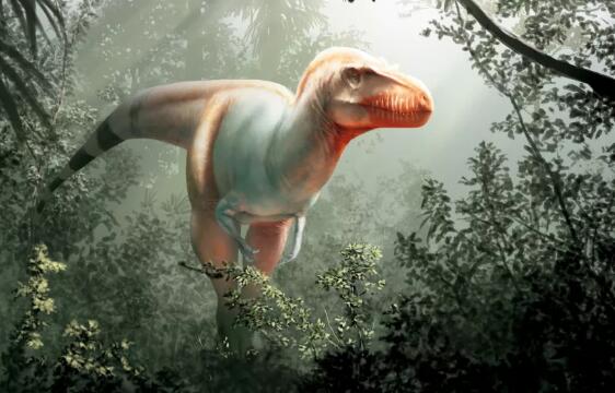 英国4岁女童发现2亿年前恐龙脚印是什么情况 专家：已收藏进博物馆