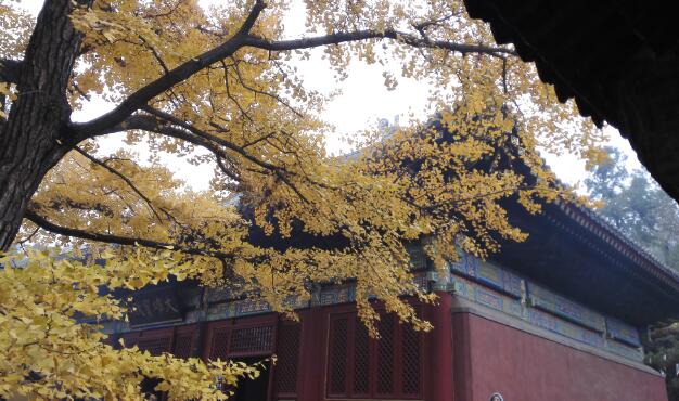 春节北京周边哪里好玩 春节北京周边人少好玩的地方