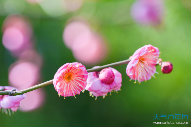 立春可以出门吗 立春出门要注意什么