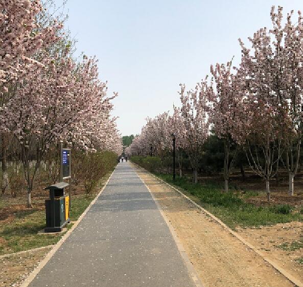 春节北京周边哪里好玩 春节北京周边人少好玩的地方