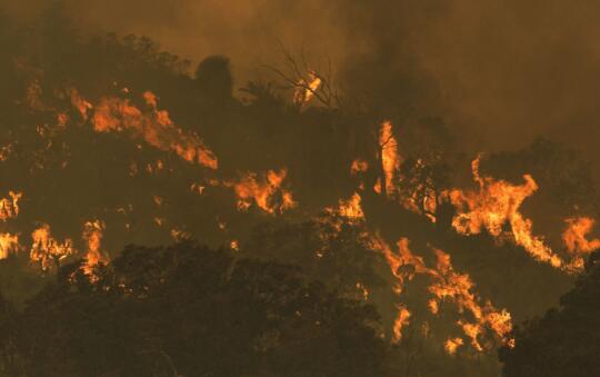 澳大利亚珀斯山火面积超7300公顷 至少56所房屋被烧毁现场浓烟滚滚