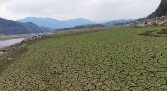 浙江多地出现50年一遇干旱 温州台州等地出台限制供水措施