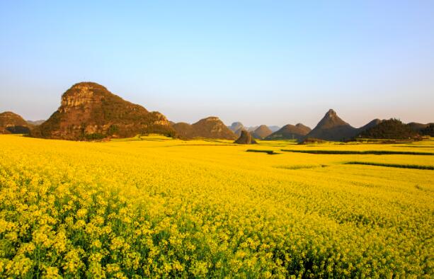 2月上旬适合去哪里旅游 2月份上旬国内风景最佳的地方