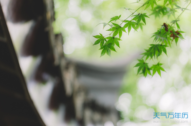 今年入伏时间 2021年夏季入伏时间