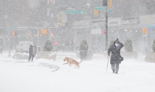 美国多地发布暴风雪预警 纽约新泽西州等多地积雪严重
