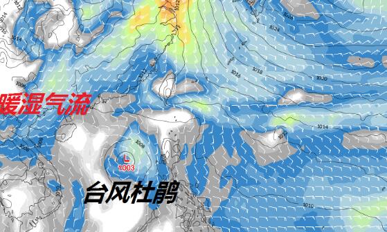 1号台风杜鹃目前最大风力8级 杜鹃最新消息实时路径图今天