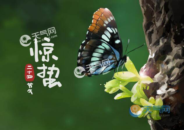2021惊蛰是几九 今年惊蛰在数九天什么时候