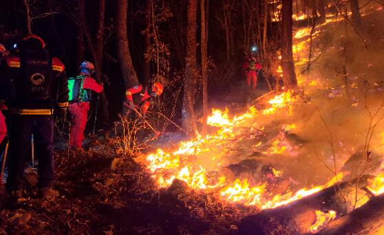 韩国江原道发生山林火灾 无人员伤亡灭火工作仍在进行