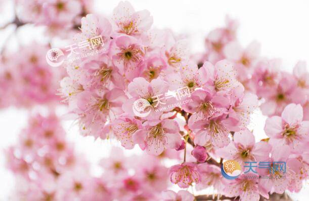 3月初去哪里旅游好 3月初国内最佳旅游地