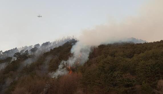 韩国江原道发生山林火灾 无人员伤亡灭火工作仍在进行
