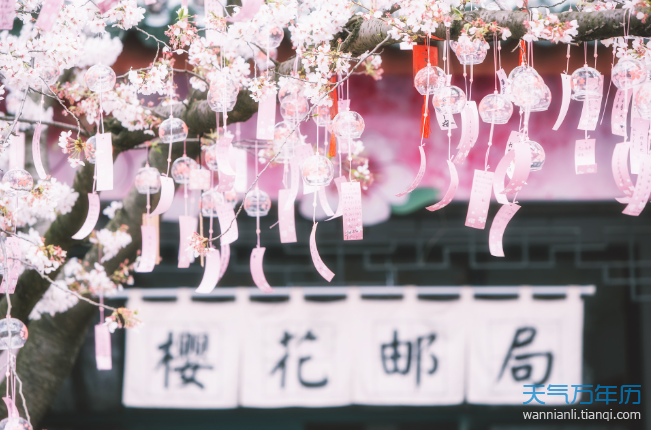 2021年三明樱花节是什么时候 2021年三明樱花节开幕时间