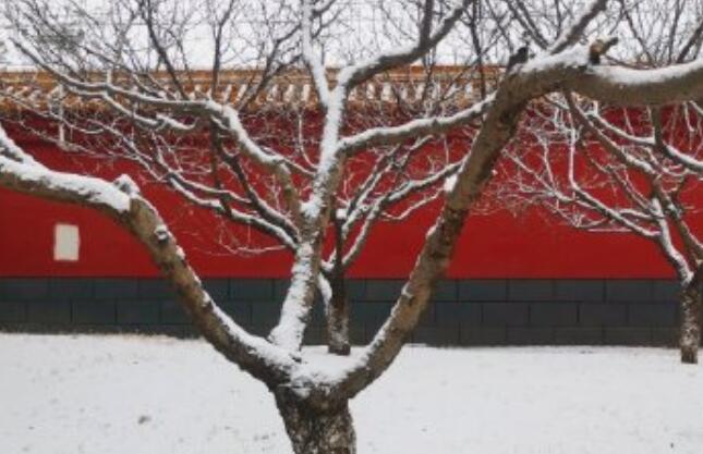 北京下雪今冷空气继续影响 明起气温开始回升