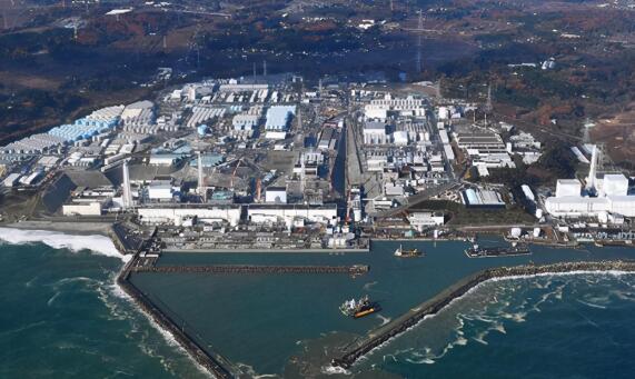 福岛近海捕捞鱼放射性物质超标是怎么回事 专家：受核辐射导致