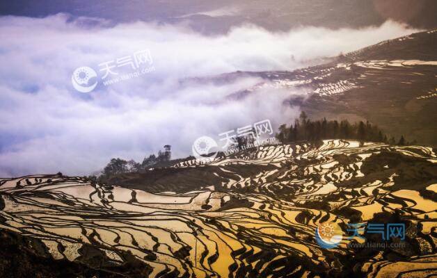 云南三月去哪里旅游好 3月份云南旅游最佳去处