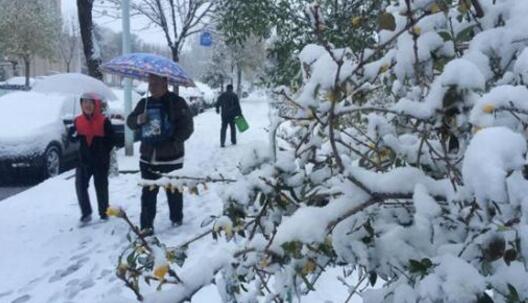 中东部大范围雨雪上线 上海杭州等地最高温不足15℃