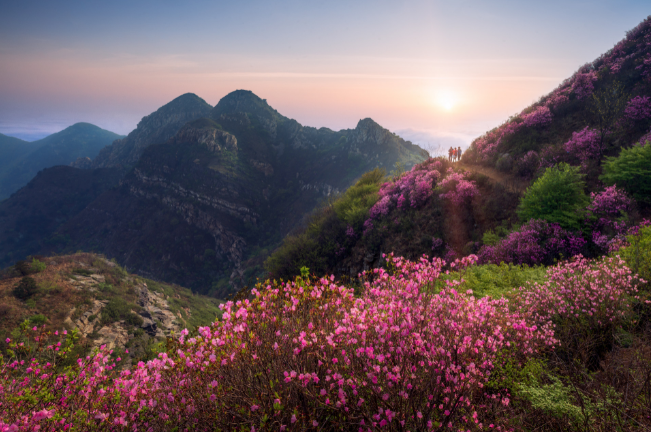 花山节是哪个民族的节日 花山节是什么节日