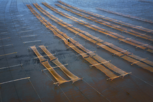 2021年禁渔期安排时间表 今年禁渔期是几月到几月