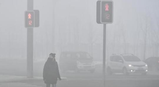 伊犁奎屯市大雾围城能见度不足50米 乌奎高速多路段交通管制