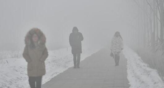 伊犁奎屯市大雾围城能见度不足50米 乌奎高速多路段交通管制
