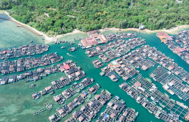 2021休渔期是几月份到几月份2021 2021年全国休渔期是什么时候