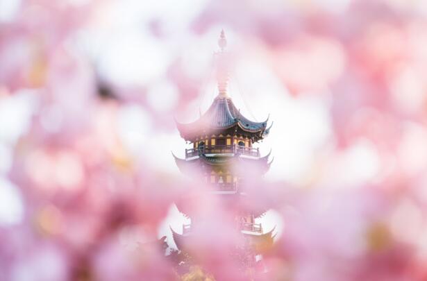 2021南京樱花什么时候开花 南京看樱花的最佳时间及观赏地点
