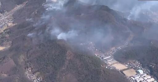 日本栃木县已经持续燃烧一周 目前大火尚未造成人员伤亡