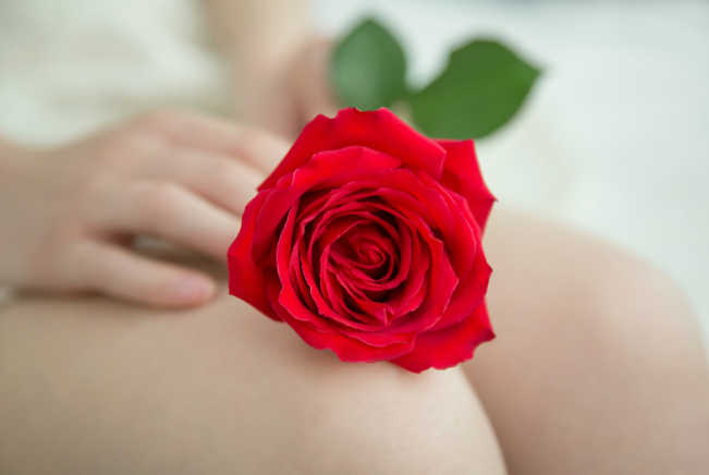 一朵玫瑰花代表什么 一朵玫瑰花等于什么