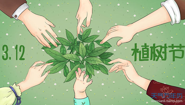 关于植树节的资料大全关于植树节的知识