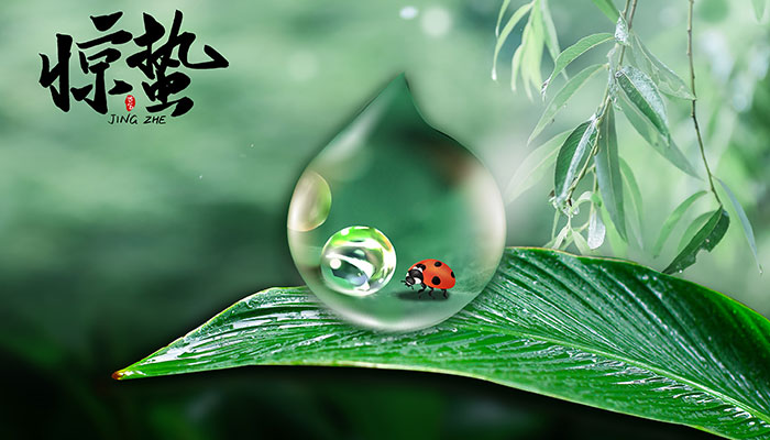 惊蛰下雨有什么说法 惊蛰下雨意味着什么